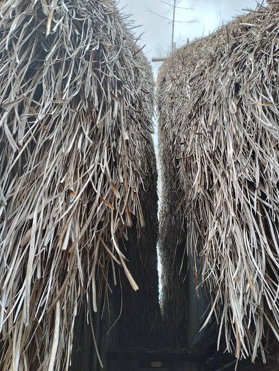 Windmill Exploration