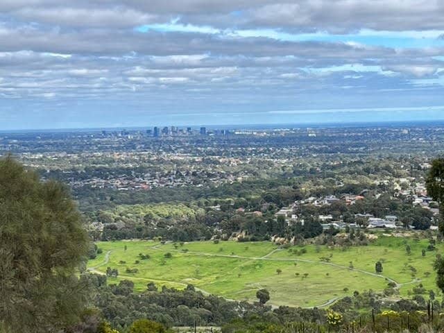 Newmans Nursery Ruins