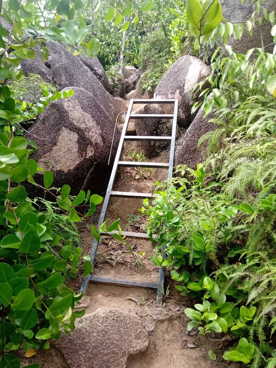 The Challenging Ascent