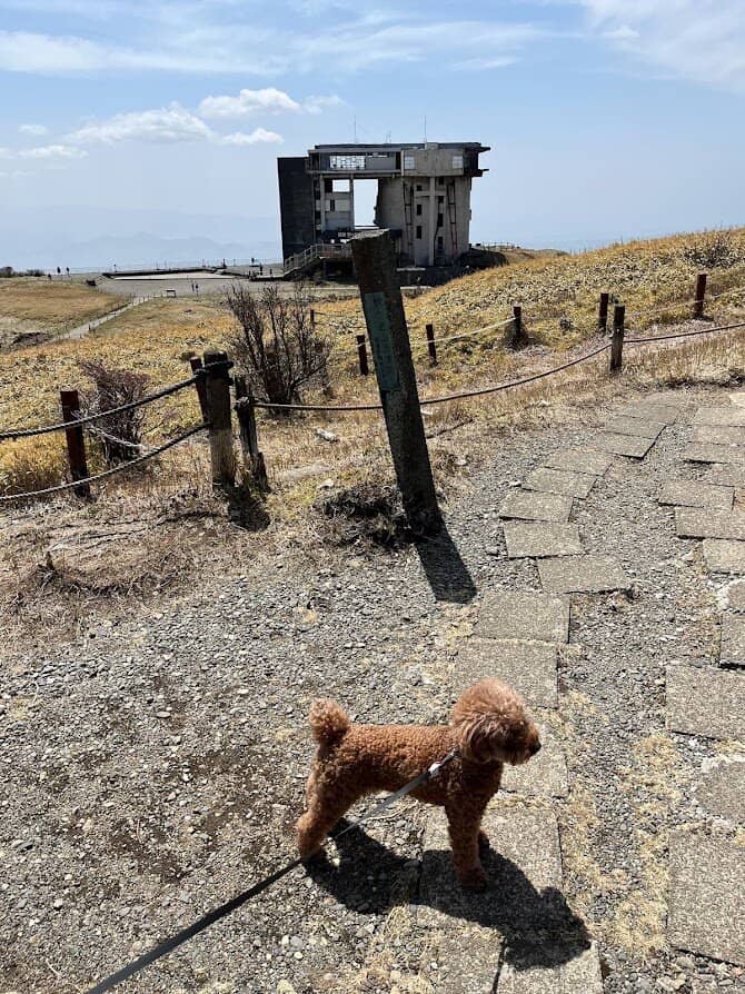 Hakone Mototsumiya Shrine