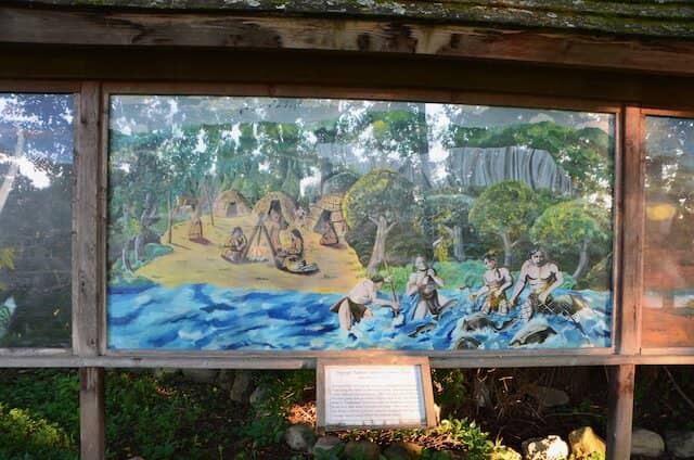 Tranquil Nature Walks