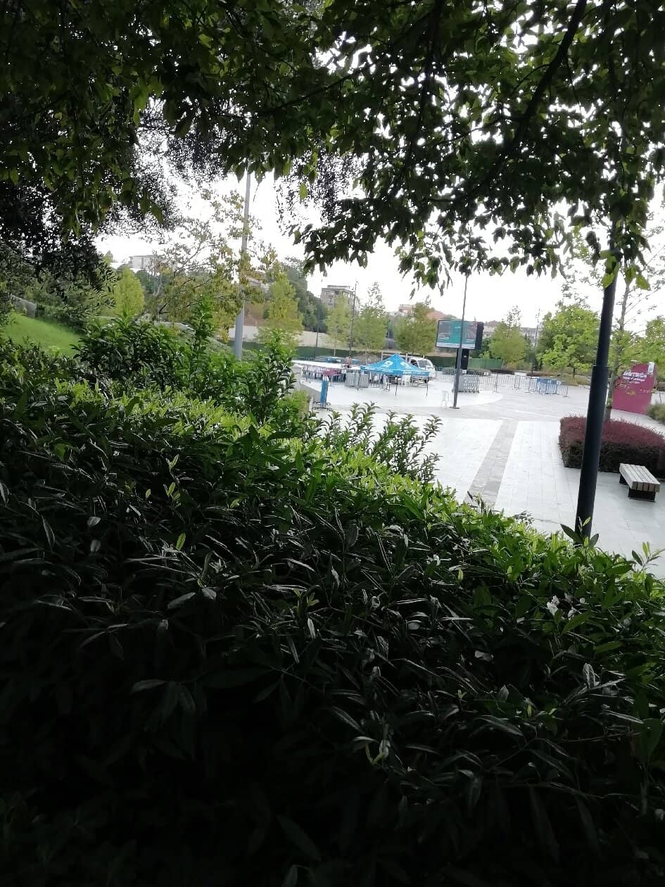 Tranquil Lake and Walking Paths