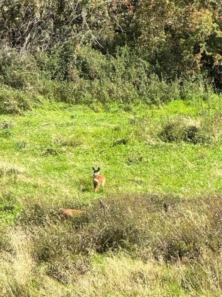 Castlehead Viewpoint