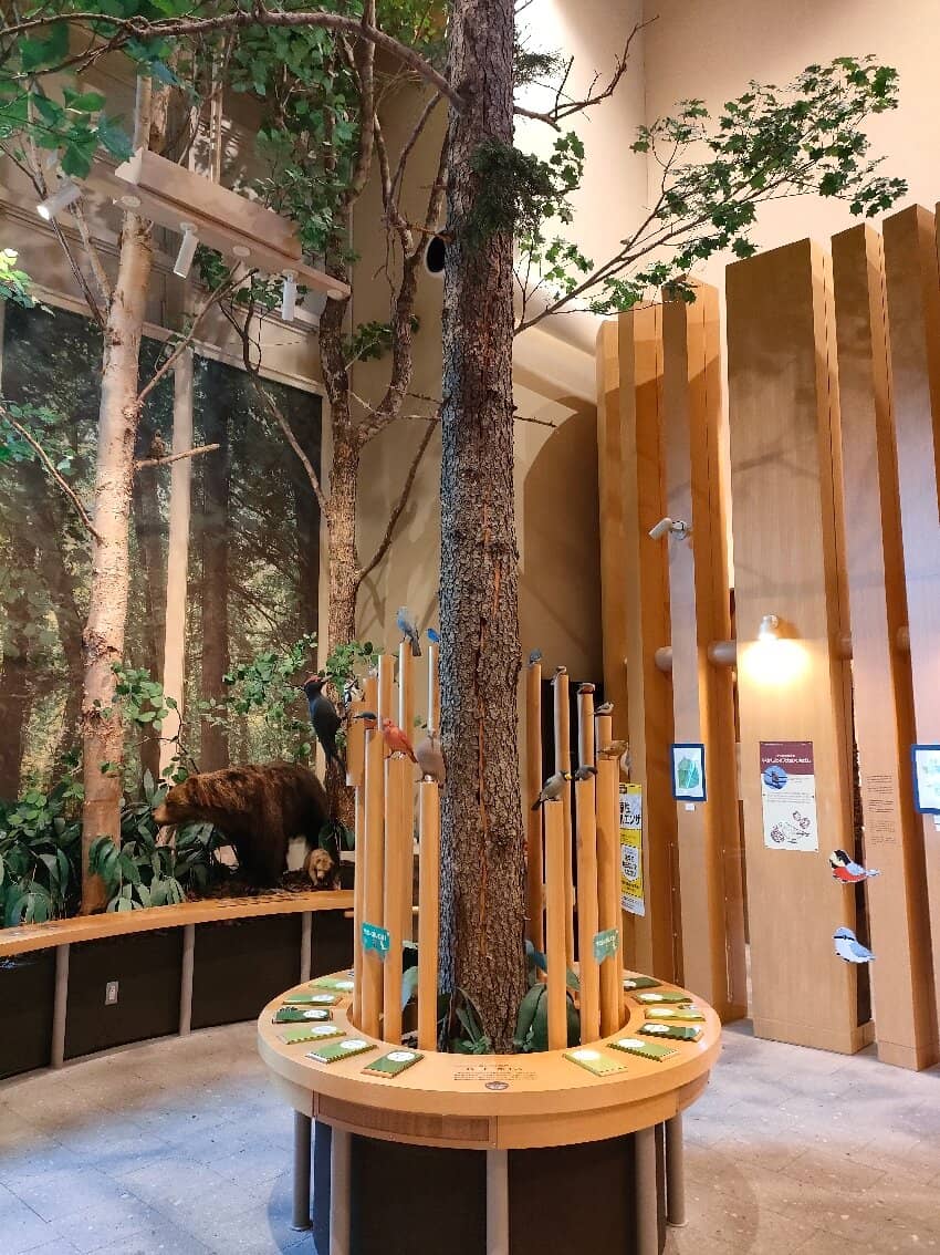 Caldera Lake Scenery