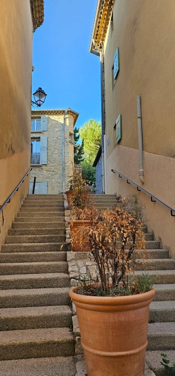 Vineyard Tours & Tastings