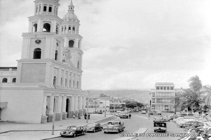 Interior Forest of Columns