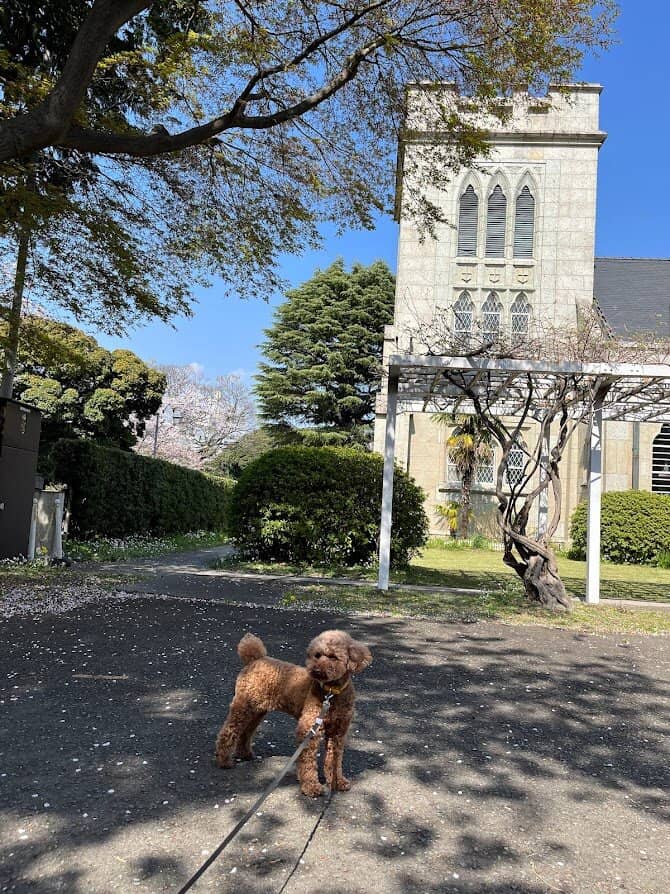 Open-Air Swimming Pool