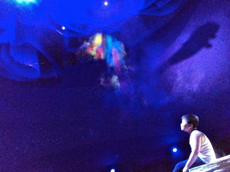 Beluga Whale Encounter