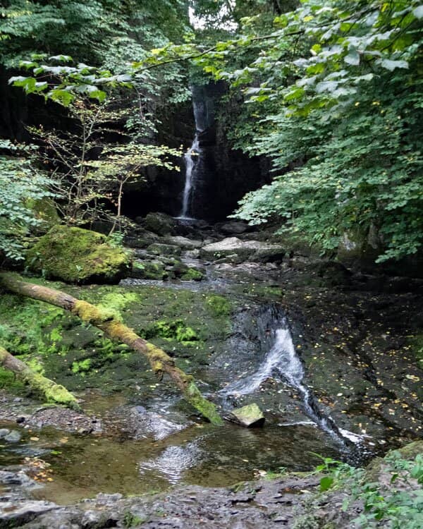 Wild Swimming Opportunity