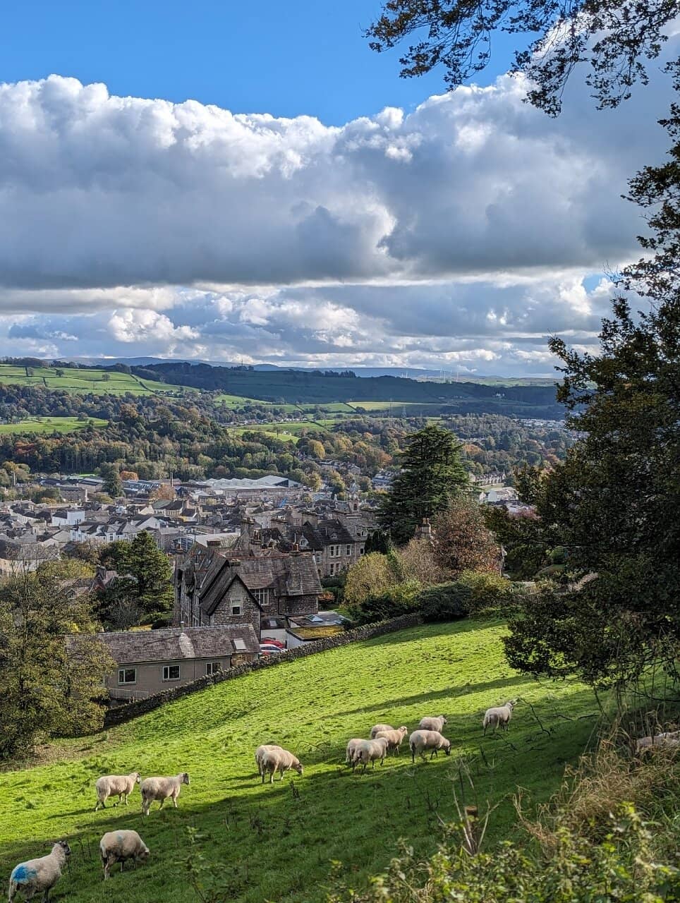 Poetry Trail Installations