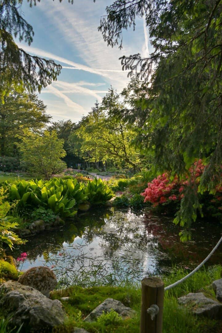 Quirky Animal Sculptures