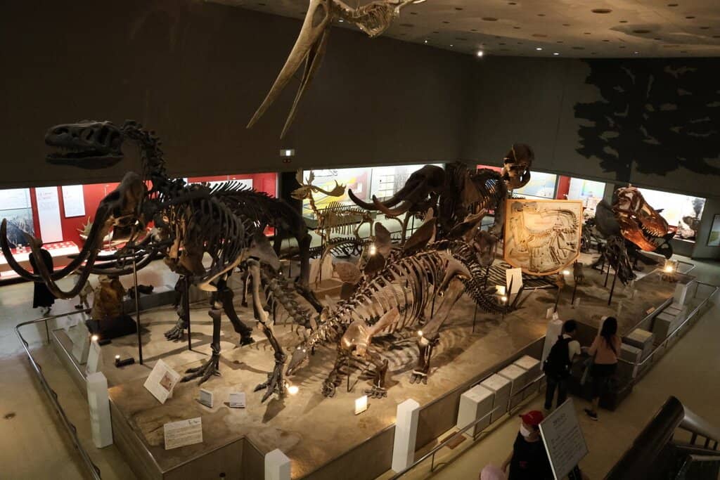 Evolution of Life Exhibits