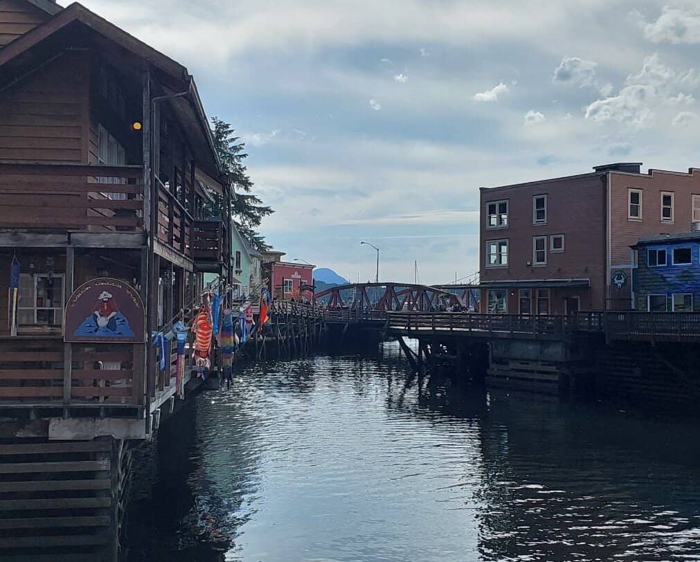 Salmon Viewing on Creek Street