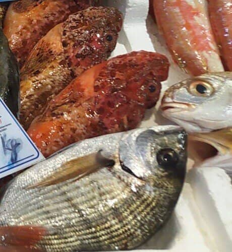 Fresh Seafood Market