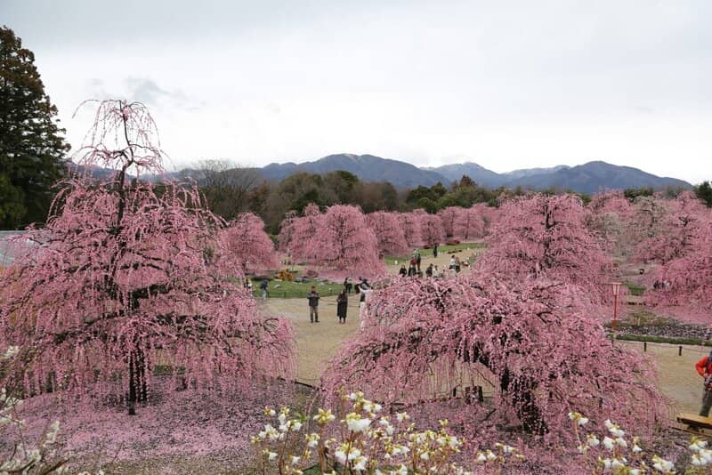 Nighttime Illuminations
