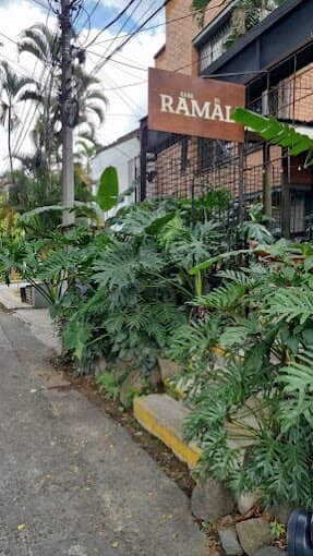 Flavorful Tuna Ceviche