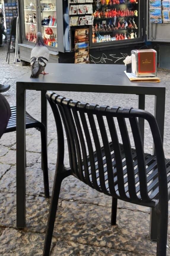 Breakfast with a View