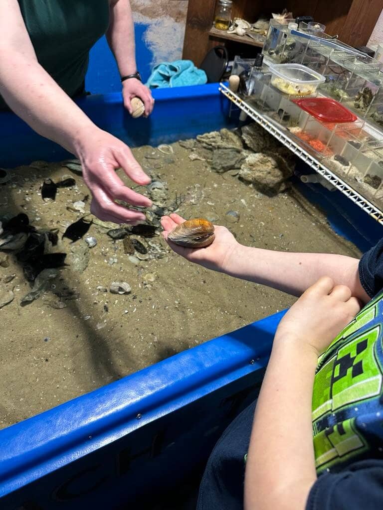 Art Galleries & Studios