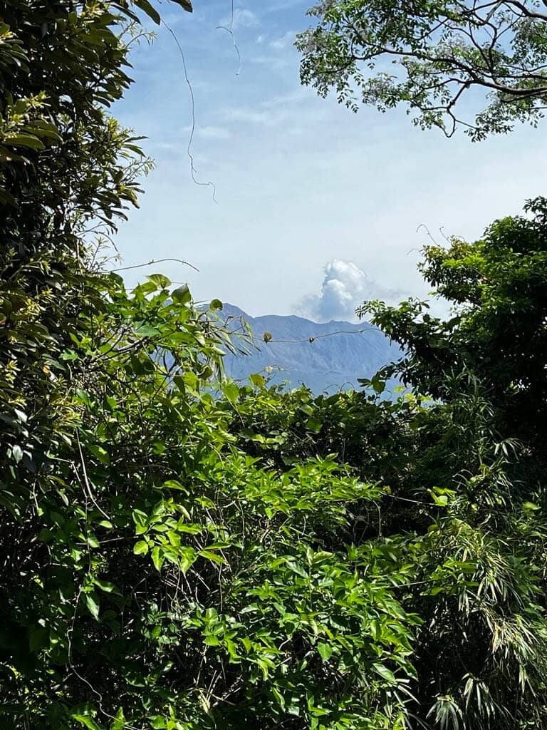 Sakurajima Volcano View