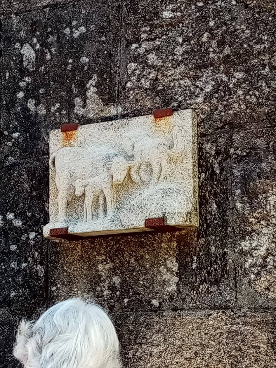 Local Produce Galore