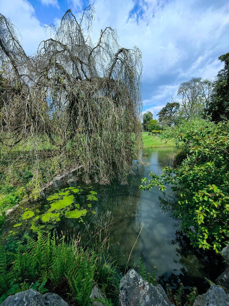 Shady Summer Strolls
