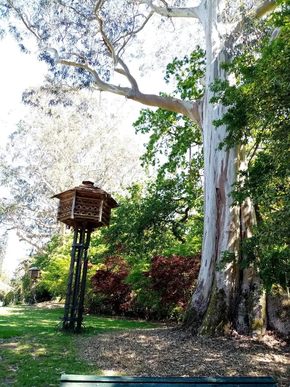 Children's Play Areas