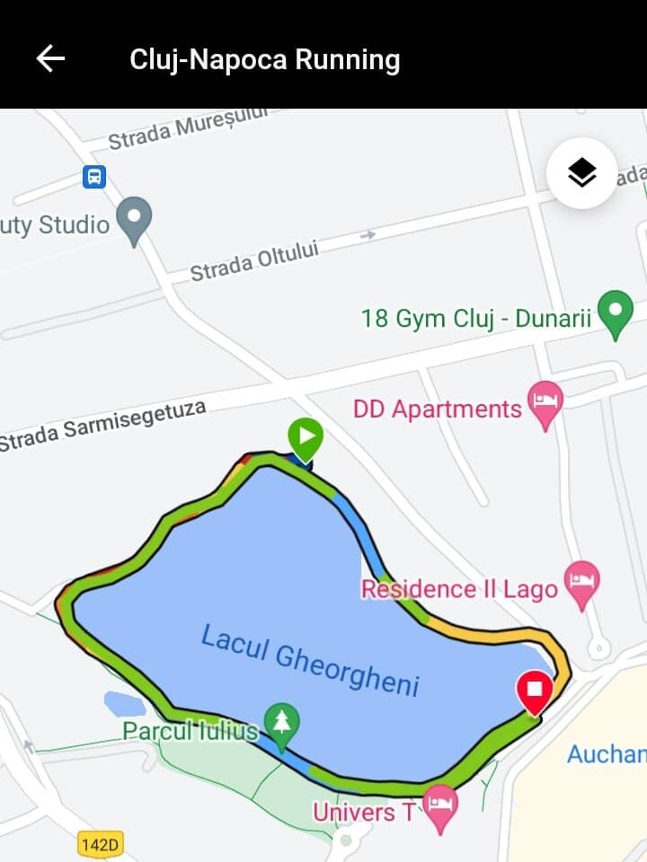 Summer Concerts & Movies