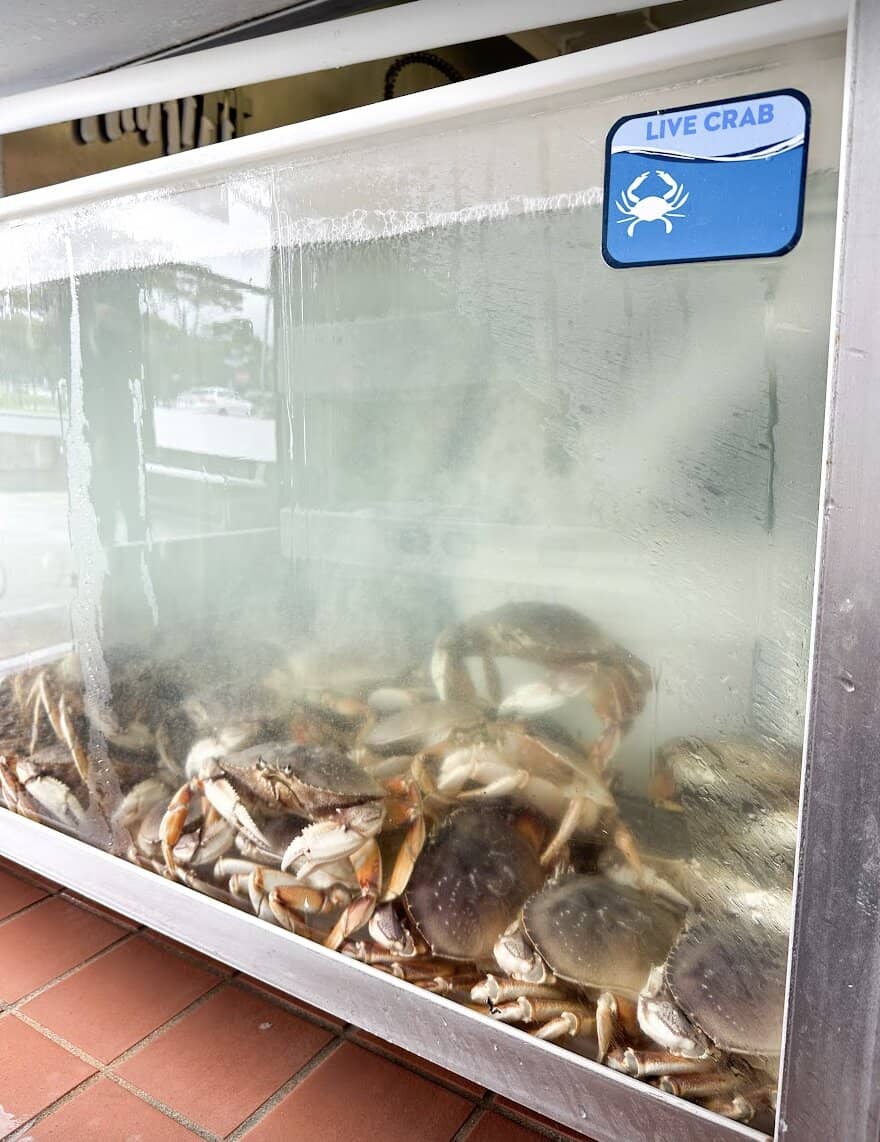 Scenic Coastal Strolls