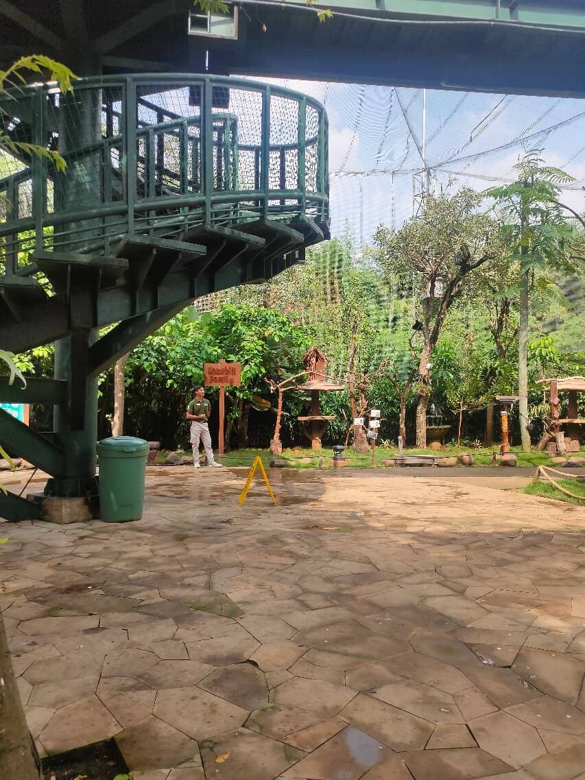 Mesmerizing Bird Shows