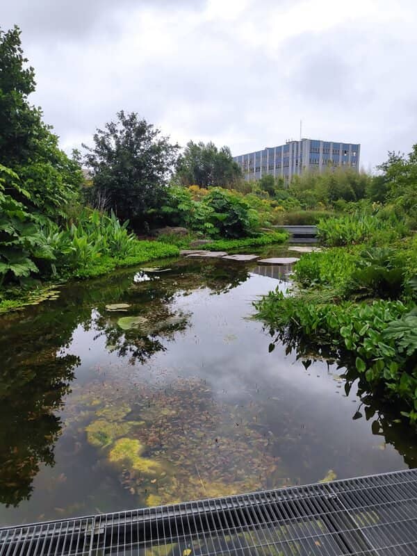 Exotic Plant Collection