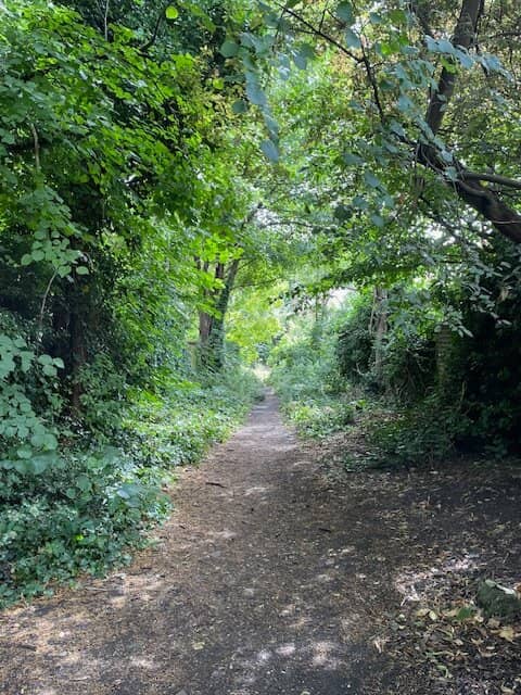 Mouthwatering Street Food