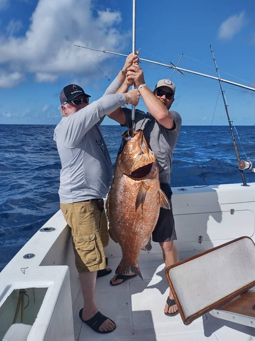 Shark Fishing Thrills