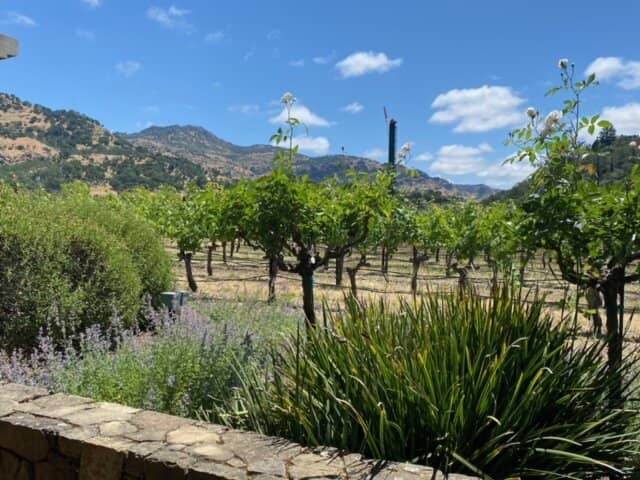 Artistic Architecture & Gardens