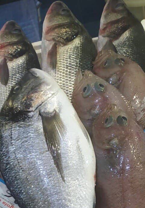 Antiche Grotte del Caricatore