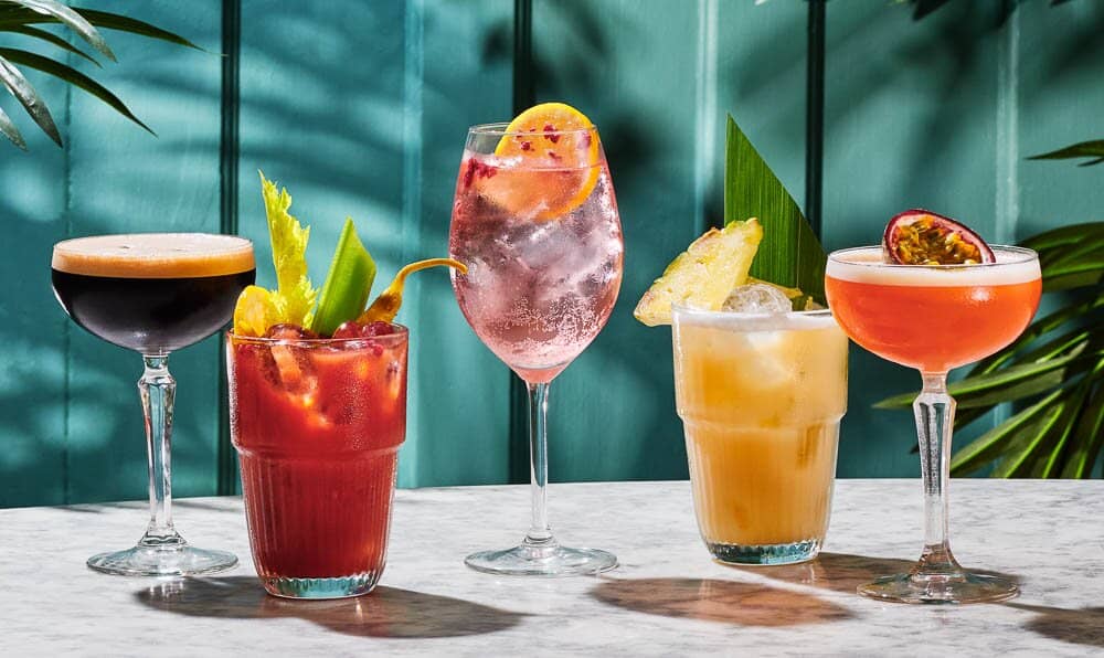 Fresh & Vibrant Vegan Options