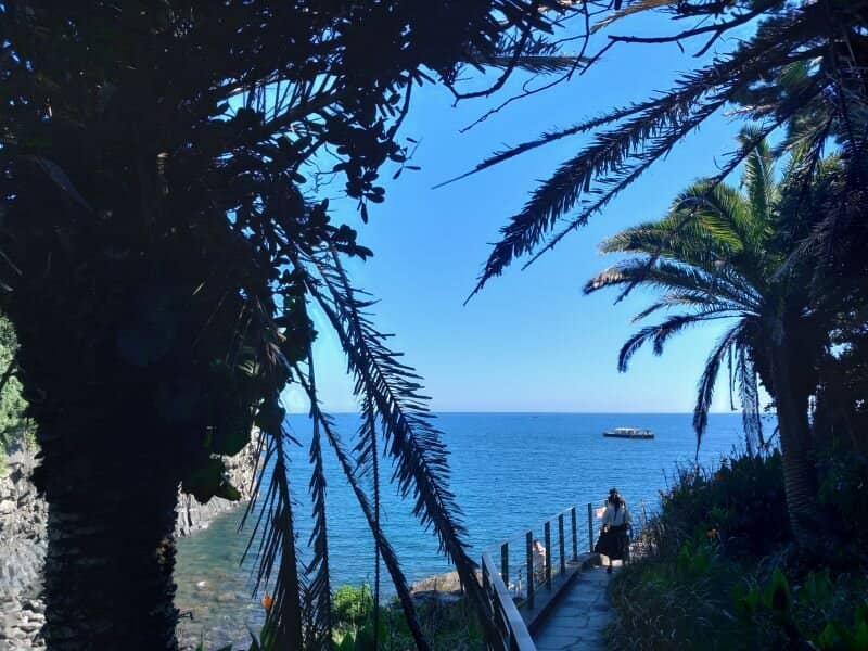 Olle Trail 6 Connection