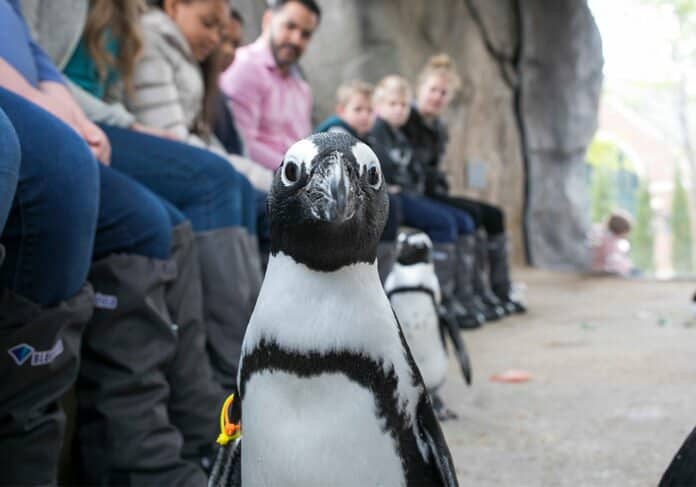 Sprawling Green Spaces