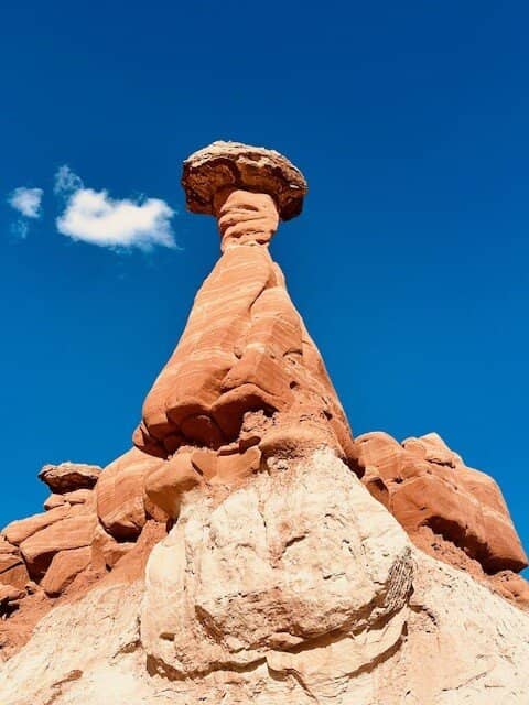 Alien Landscape Views