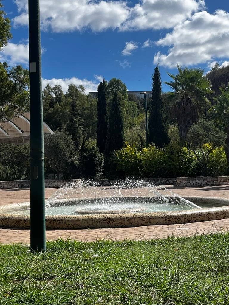 Spacious Picnic & Play Areas