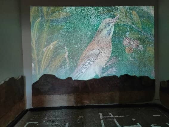 Underground Exploration