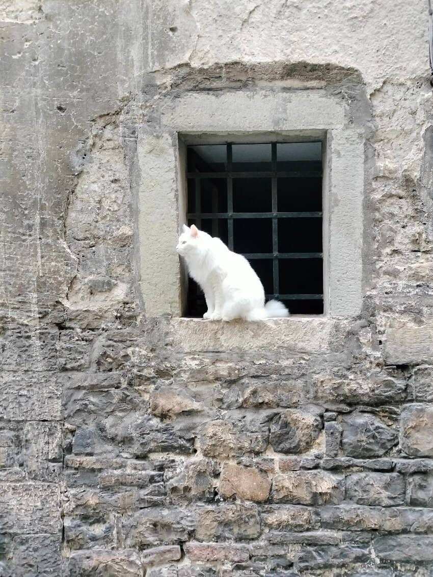 Impeccable Acoustics