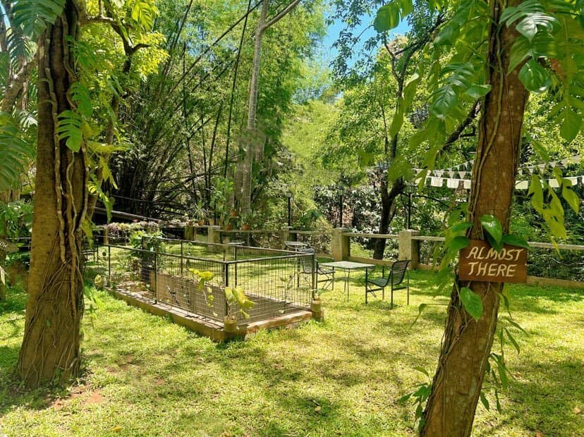 Chef-Recommended Dishes