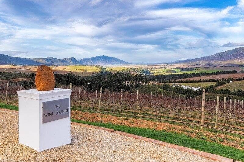 Exceptional Pinot Noir & Chardonnay