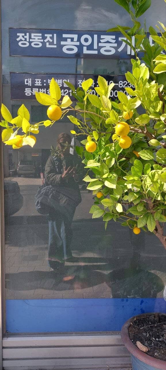 BTS 'Spring Day' Bus Stop