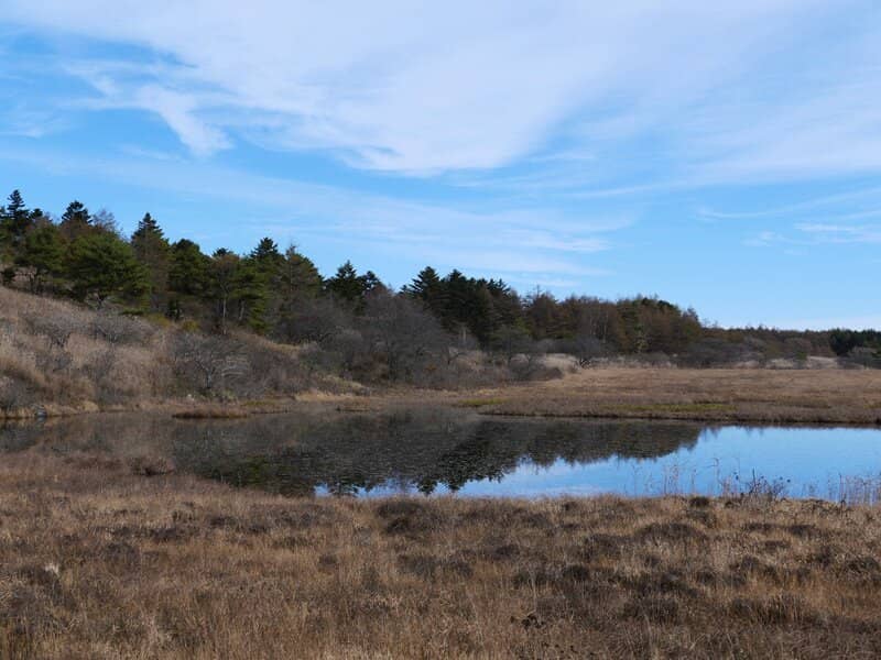 Kirigamine Highlands Views