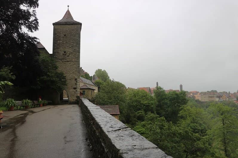 Tranquil Garden Views