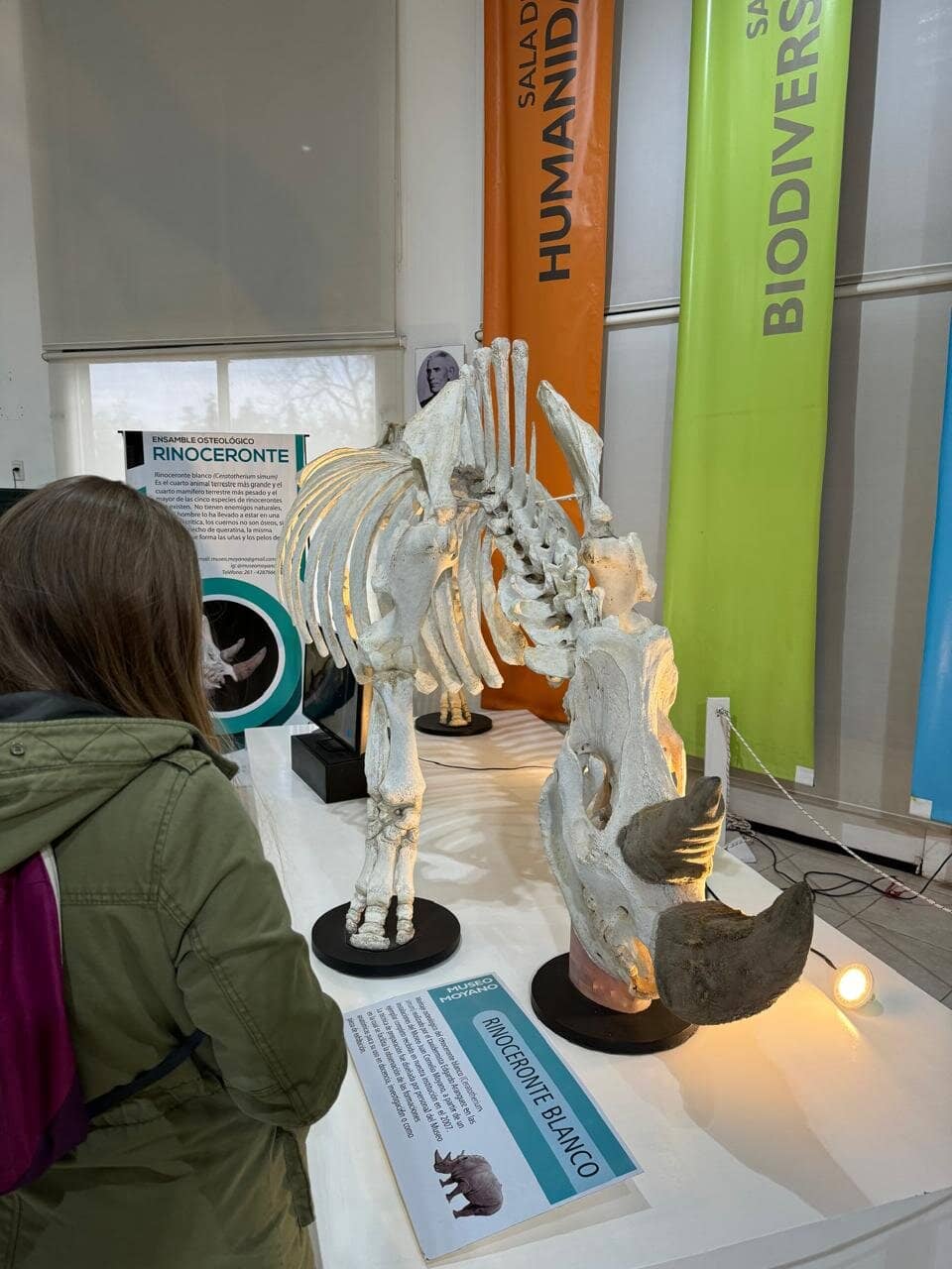 Biodiversity Exhibits