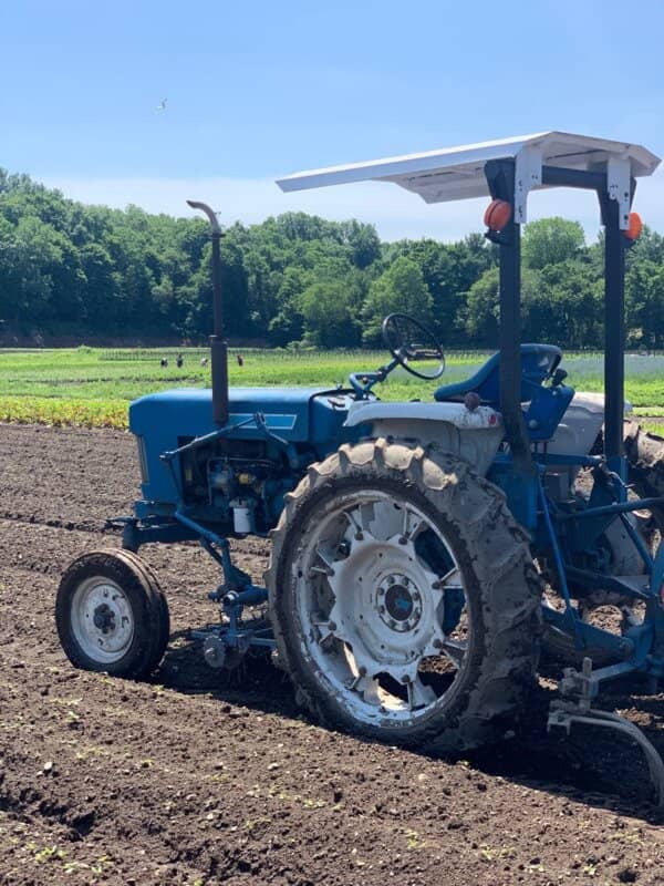 Vibrant Garden Center