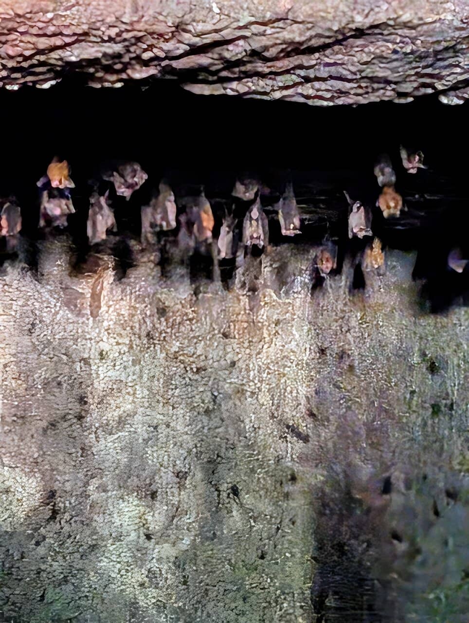 Serene Riverfront Setting