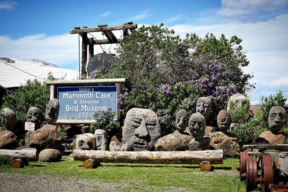 Shoshone Bird Museum of Natural History